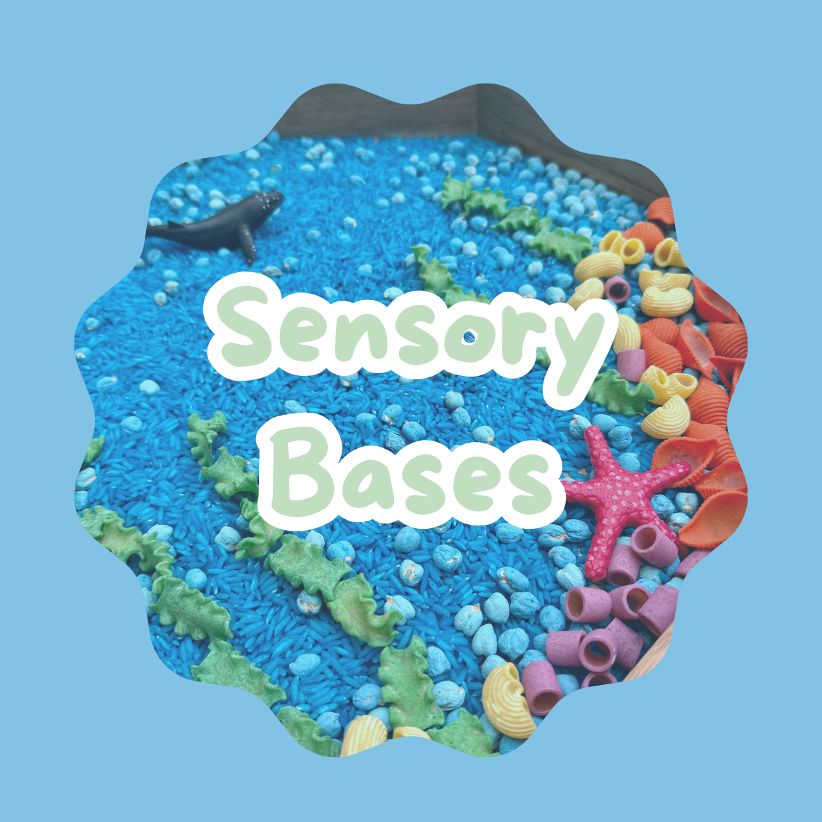 Sensory Bases